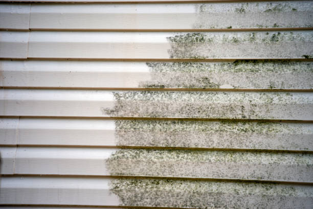 Best Carpet Removal and Disposal  in Gray Summit, MO